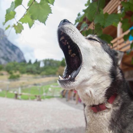 Agriturismo Athabaska San Lorenzo Dorsino Eksteriør billede