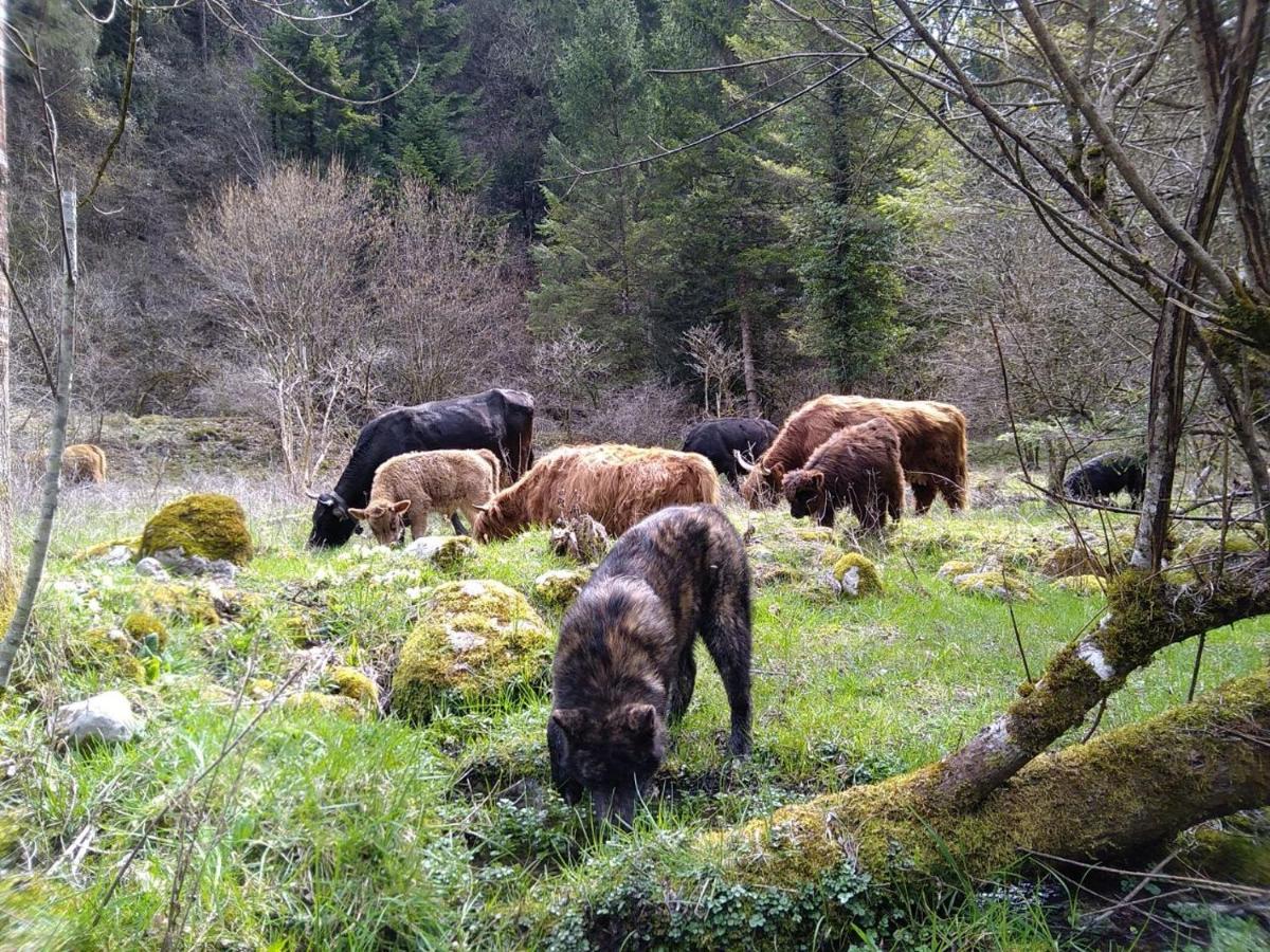Agriturismo Athabaska San Lorenzo Dorsino Eksteriør billede